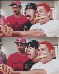 Foto #961